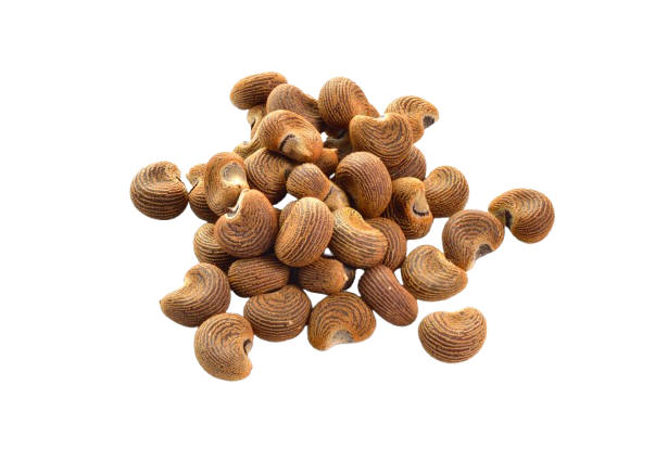 Ambrette Seed